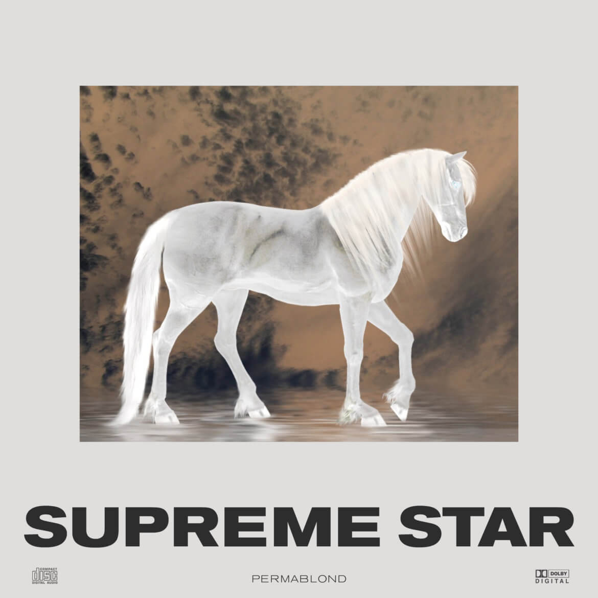 Daniel Angermann | Cover Artwork | LP | Graphic Design | Permablond