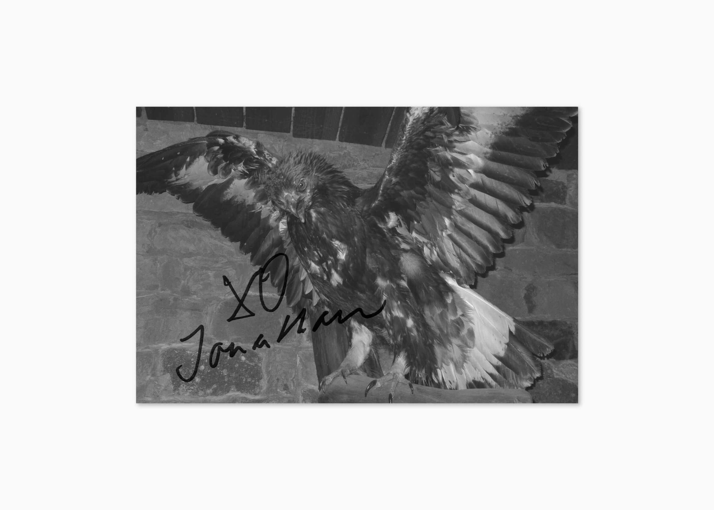 Daniel Angermann – Jonathan Hurt – Until the End – Photography | Death | Bird | Autogramm Photography | Death | Bird | Autogramm