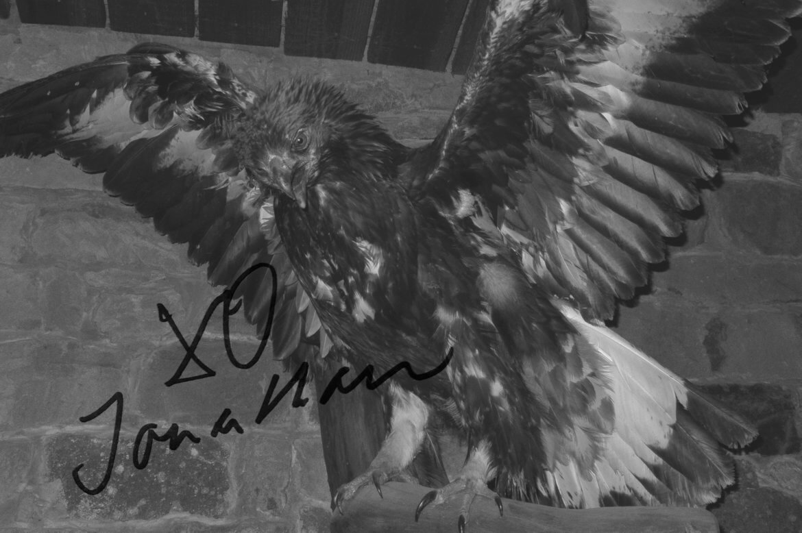 Photography | Death | Bird | Autogramm