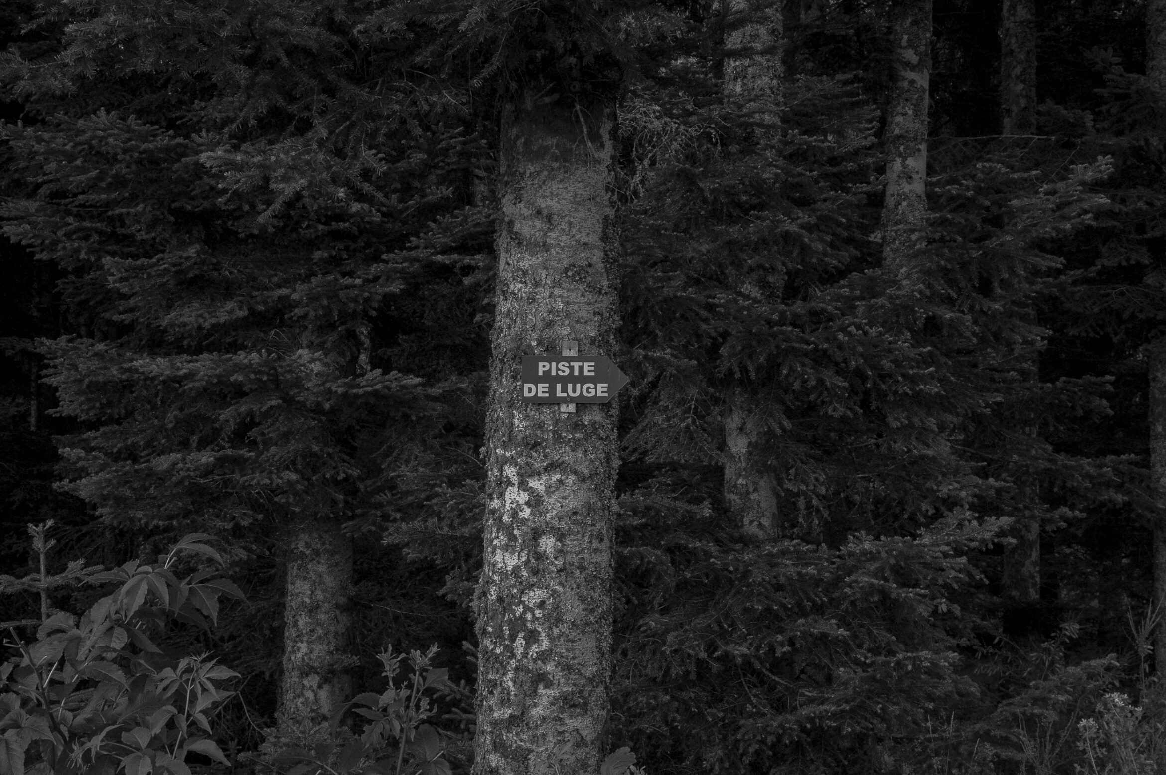 Old People | Seaside | France