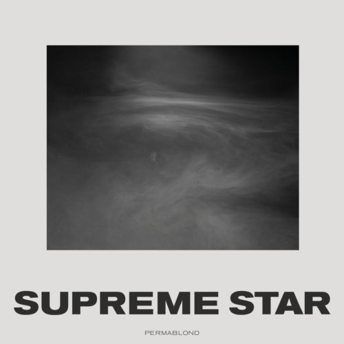 Musik | LP | Cover | Wave