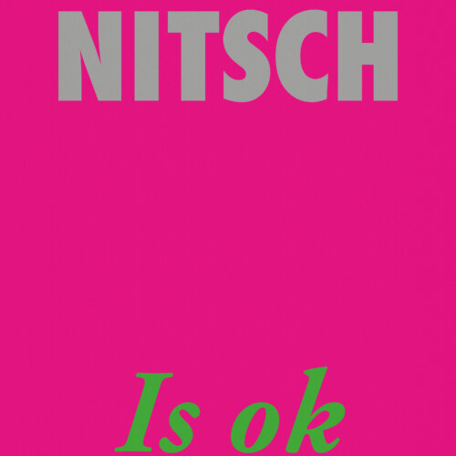 Nitsch | Is ok | Artwork | Coverdesign | Single