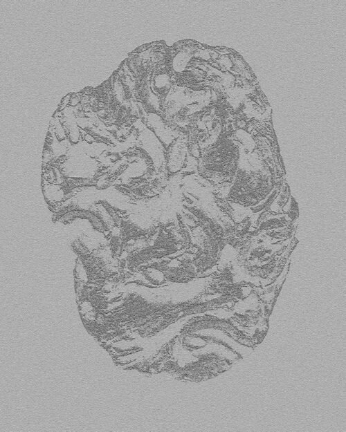 Daniel Angerman | Abstract | Brooch | Nature