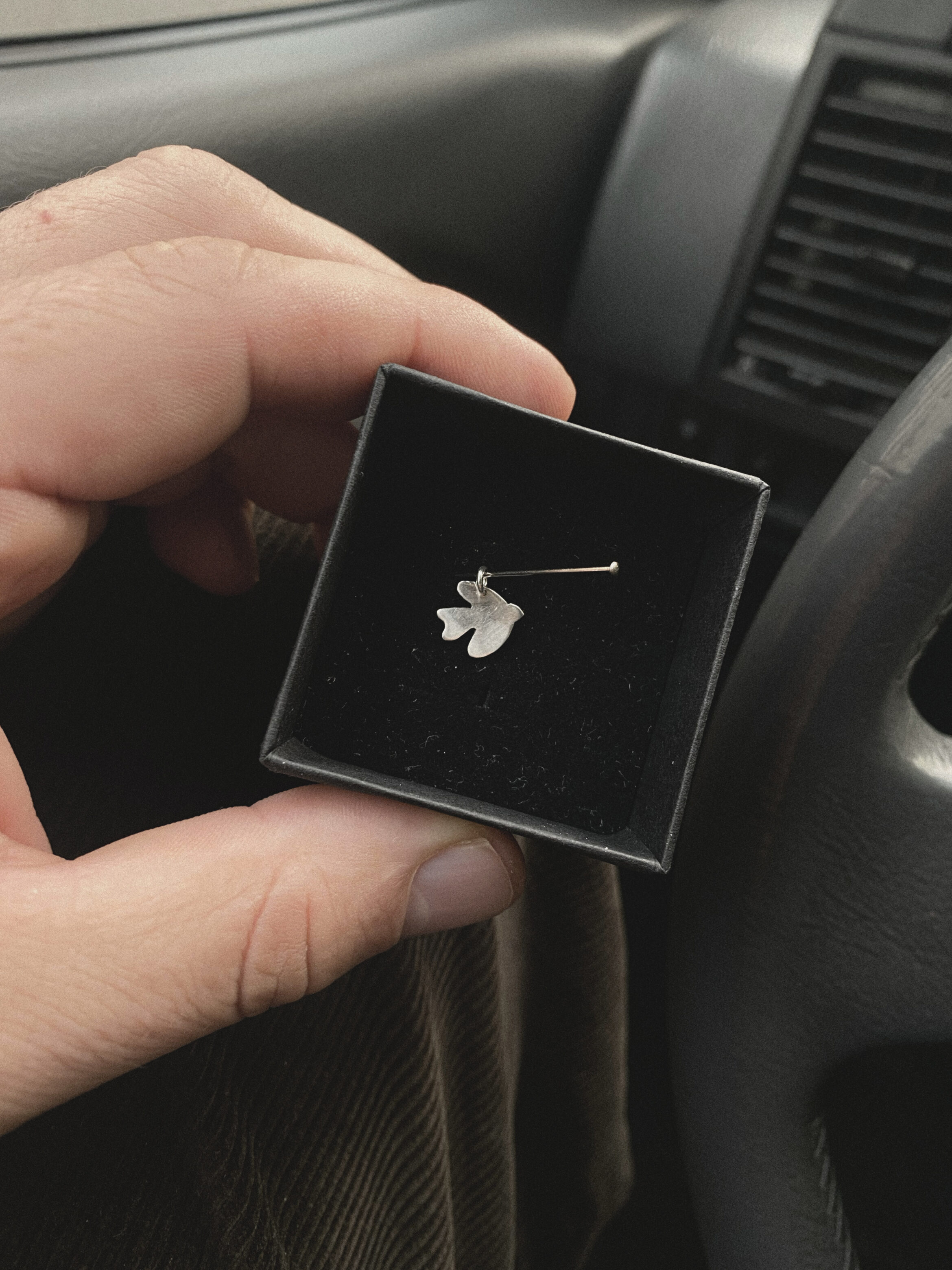 Friedenstaube | Ohrring | Kettenanhänger | Silber