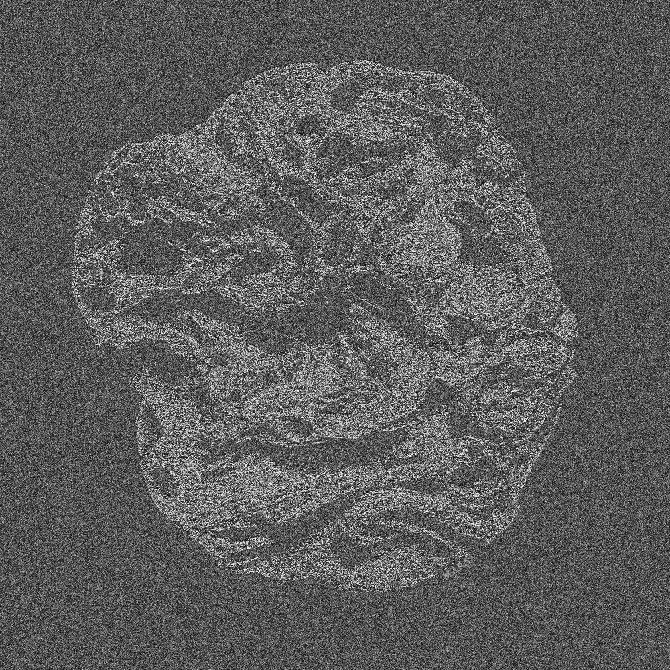 Cover | Artwork | Music | Digital | Mars | Stone